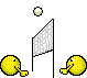 volleybal